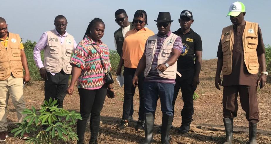 Minister of Agriculture Tours CARI, Inspects Cassava Breeder Seed Production for National Scale-Up