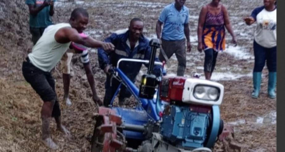 Ministry of Agriculture’s SADFONS Initiative Boosts Smallholder Farmers in Rural Liberia