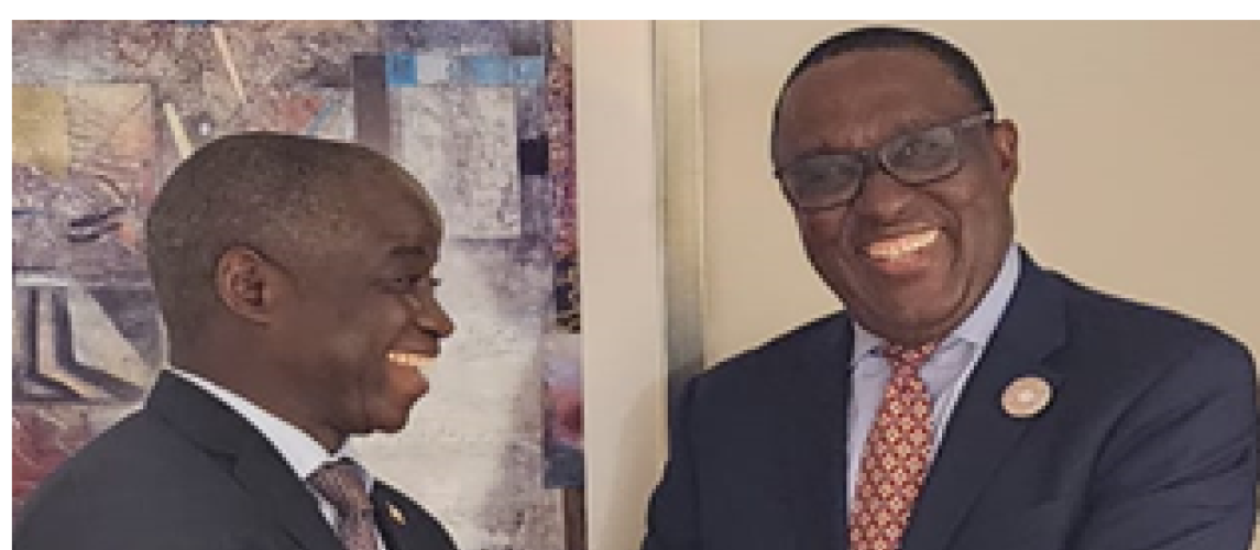 Minister Nuetah Holds Beneficial Engagement Meeting With IITA and CGIAR Leadership