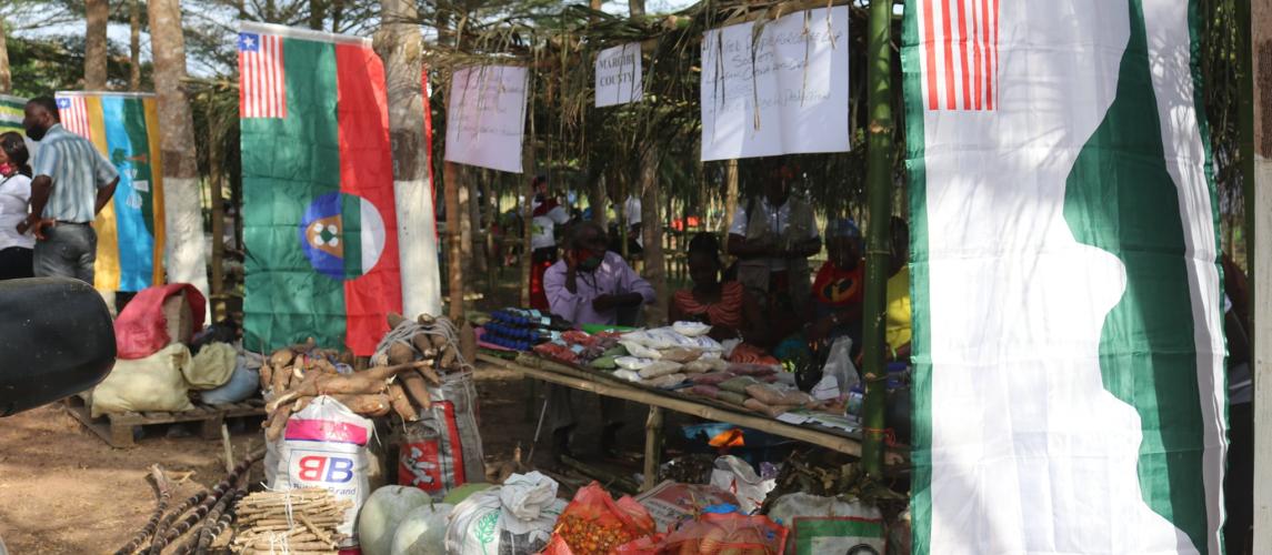 2021 National Agriculture Fair photo - Bong County