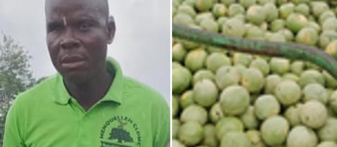 Joseph Y. Kollie / Farmer