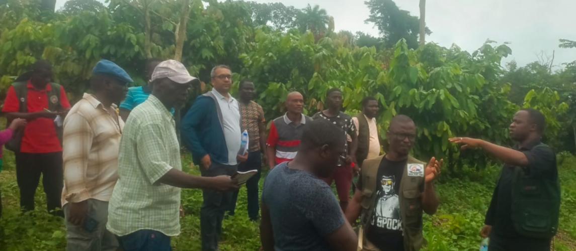 GOL/IFAD MISSION LAUNCH - Field visit to the National Cocoa seed garden