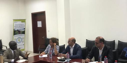 €34 Million Liberia Rice Value Chain Development Project Moves Forward