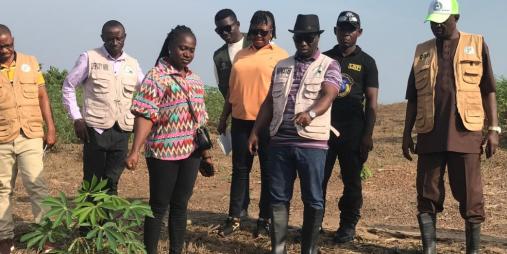 Minister of Agriculture Tours CARI, Inspects Cassava Breeder Seed Production for National Scale-Up