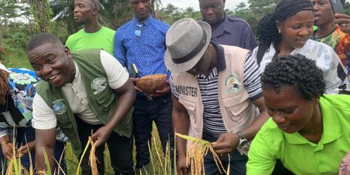 Government Launches 2025 National Rice Harvesting Season in Sehyikepa